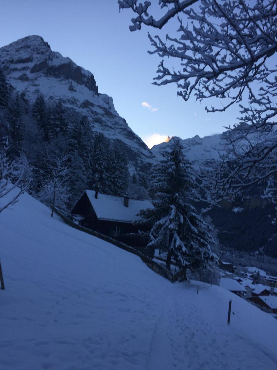 Chalet Gruenegg Γκρίντελβαλντ Εξωτερικό φωτογραφία