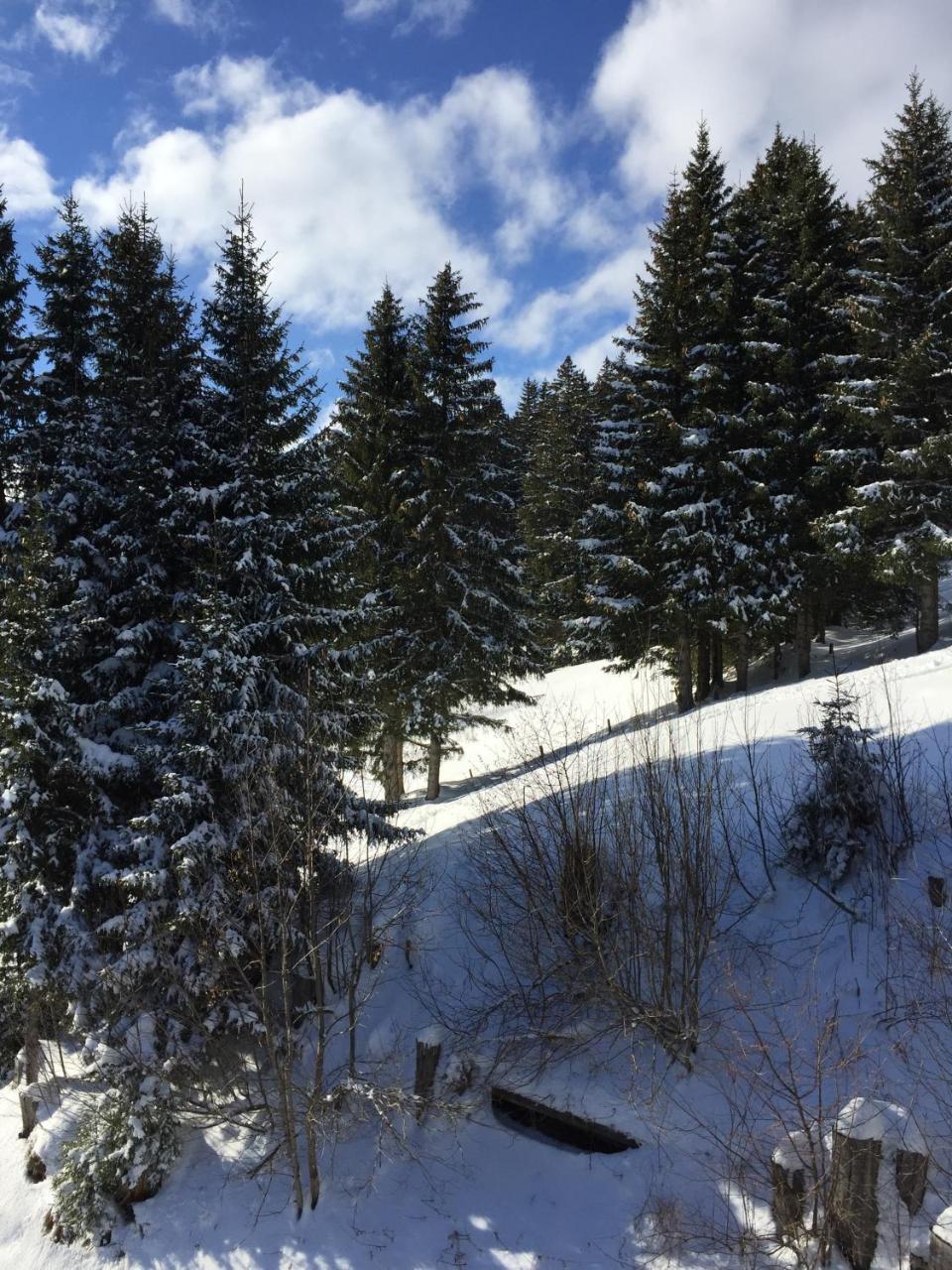 Chalet Gruenegg Γκρίντελβαλντ Εξωτερικό φωτογραφία